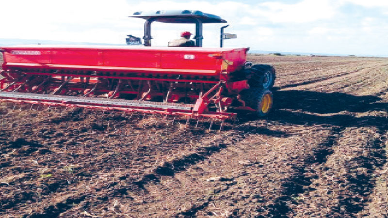  نقص الأسمدة والبذور..وتفاقم الاحتكار ..   موسم الزراعات الكبرى مهدد